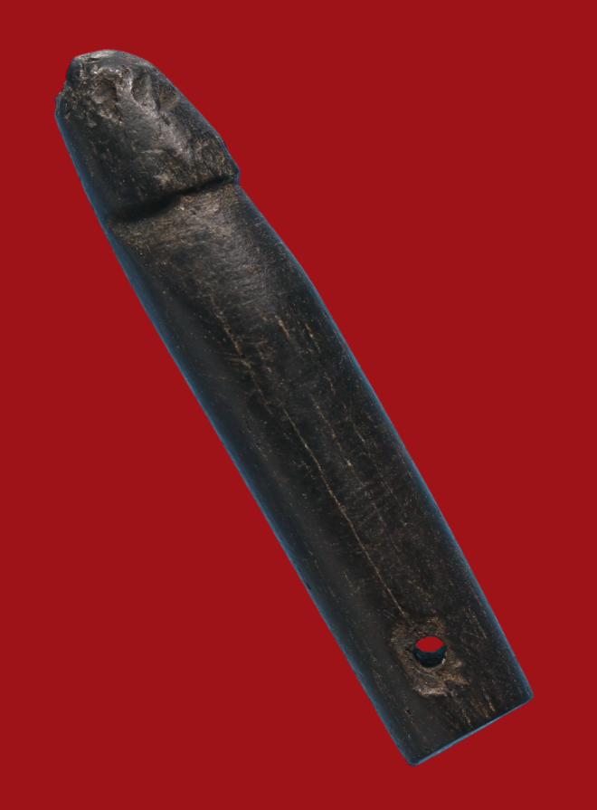 รูปที่อัปโหลด