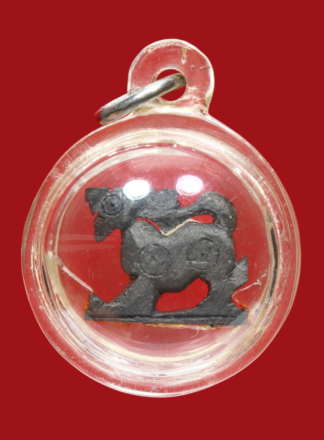 รูปที่อัปโหลด