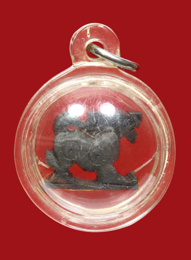 รูปที่อัปโหลด