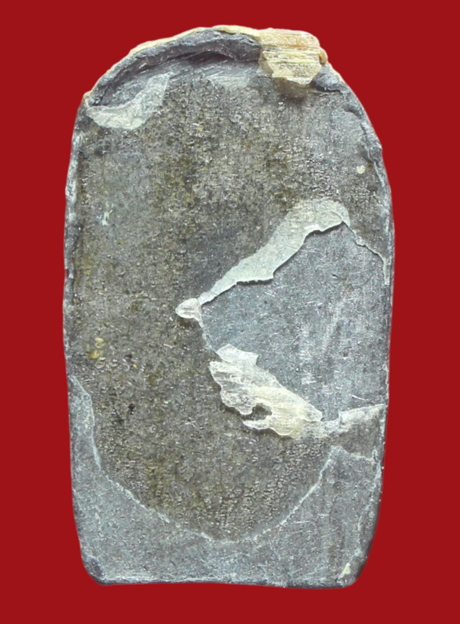 รูปที่อัปโหลด