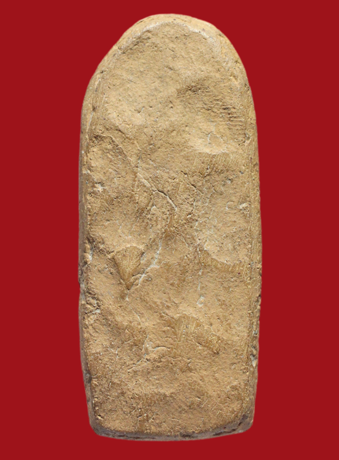 รูปที่อัปโหลด