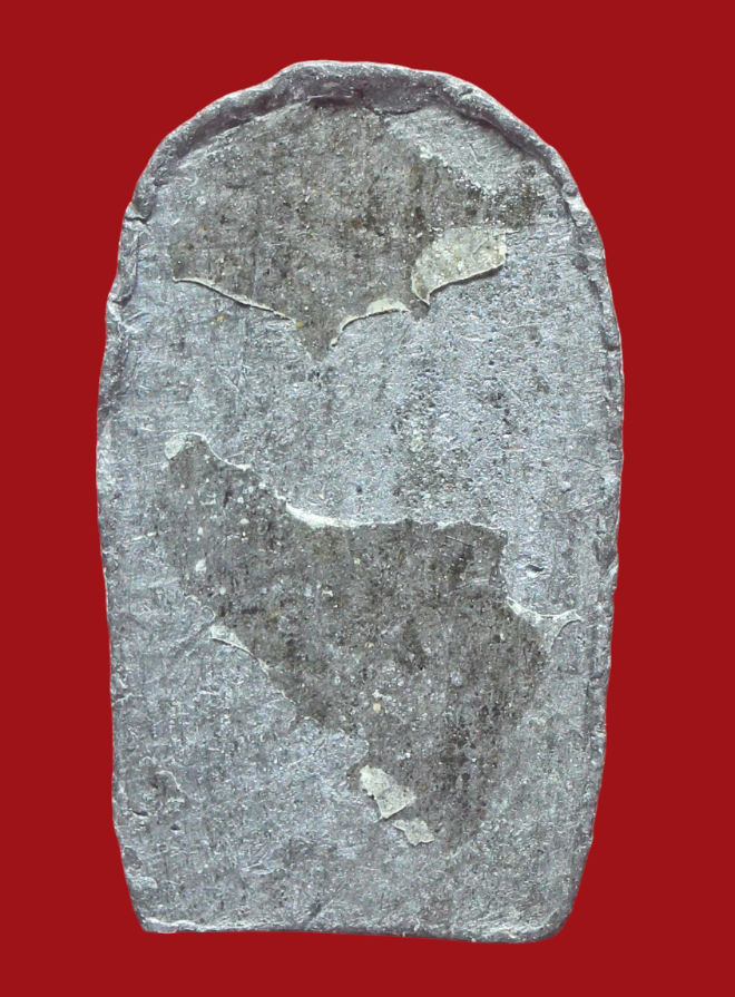 รูปที่อัปโหลด