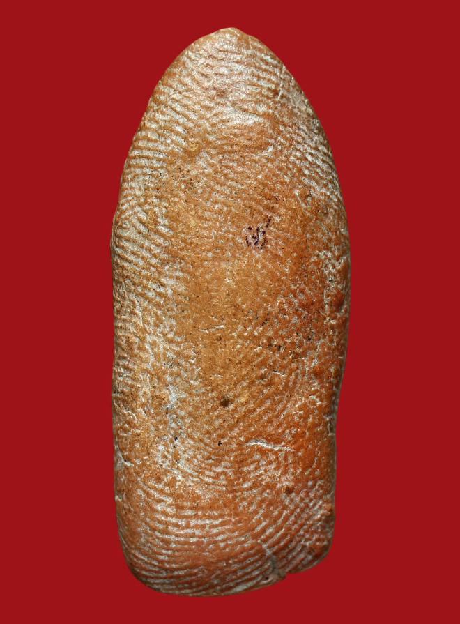 รูปที่อัปโหลด