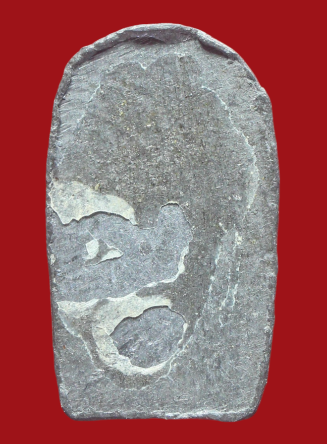 รูปที่อัปโหลด