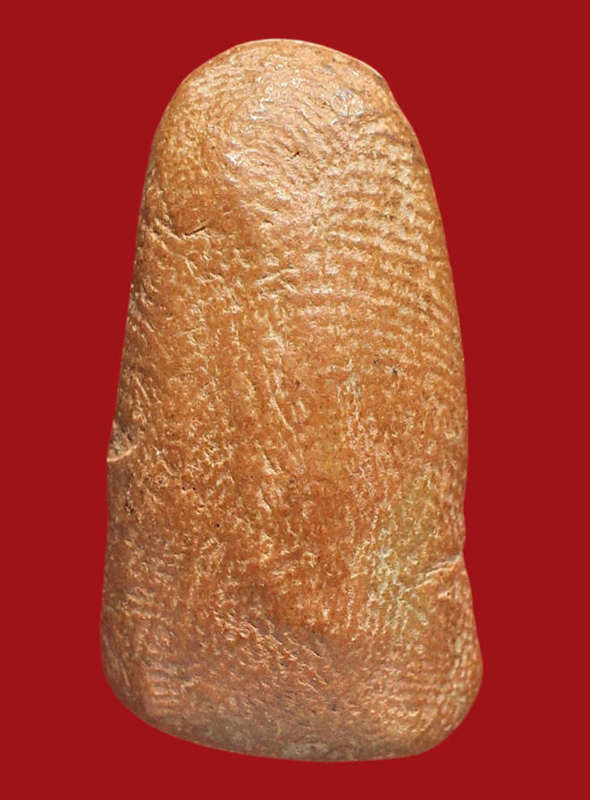 รูปที่อัปโหลด