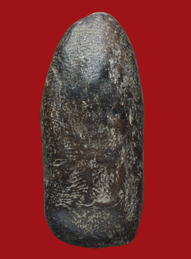 รูปที่อัปโหลด