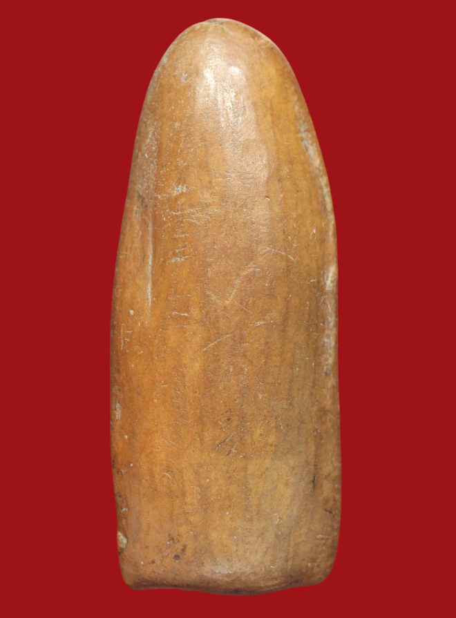 รูปที่อัปโหลด