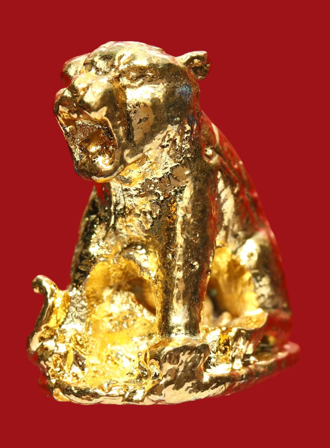 รูปที่อัปโหลด