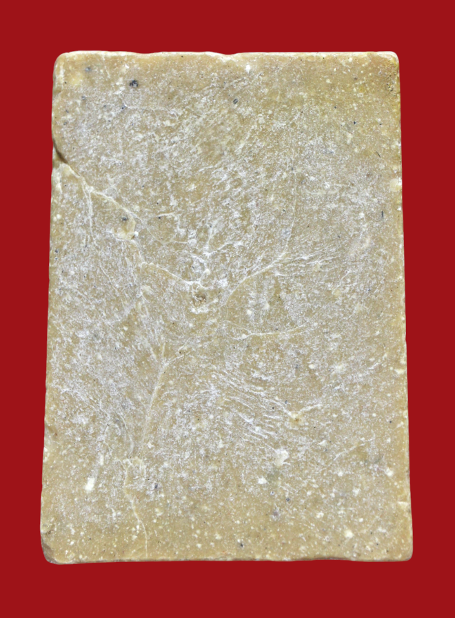 รูปที่อัปโหลด