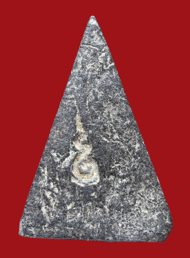 รูปที่อัปโหลด