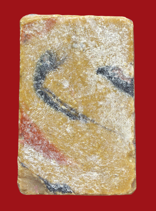 รูปที่อัปโหลด