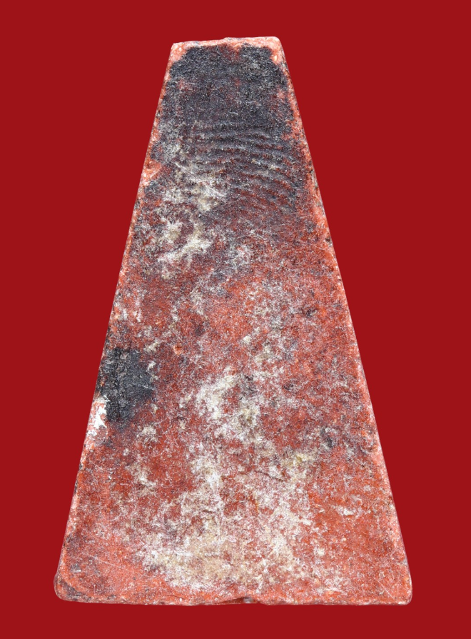 รูปที่อัปโหลด