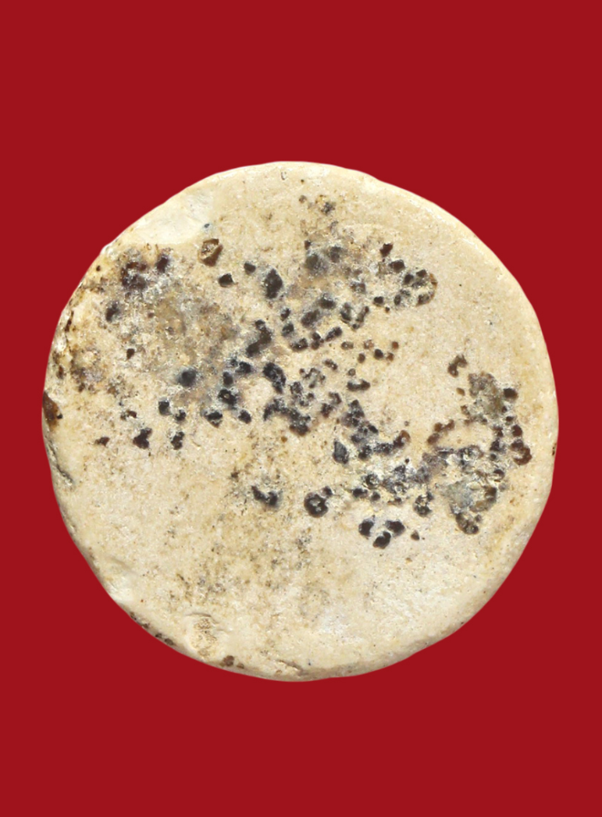 รูปที่อัปโหลด