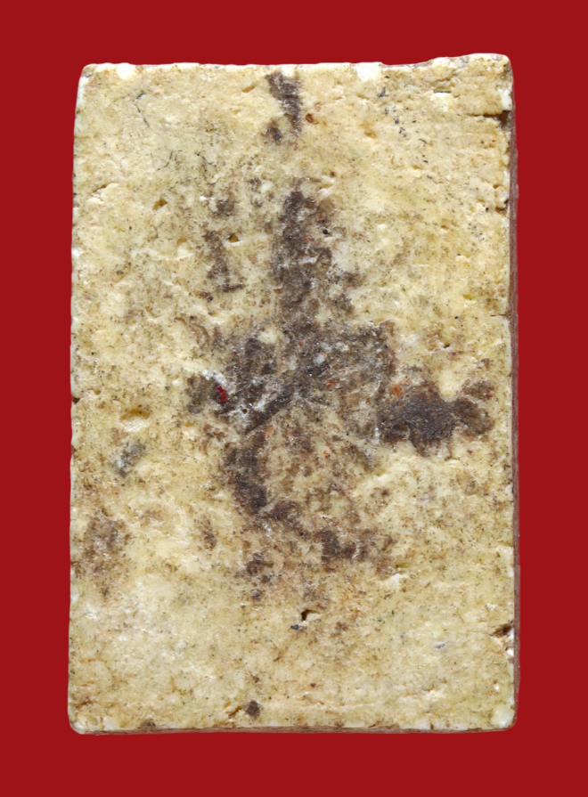 รูปที่อัปโหลด