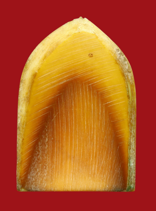 รูปที่อัปโหลด