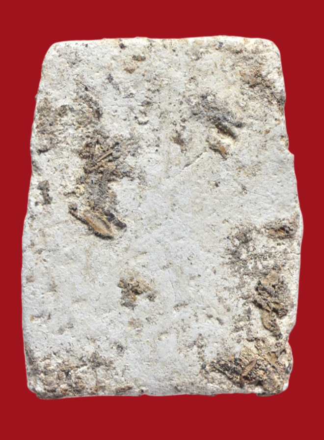 รูปที่อัปโหลด