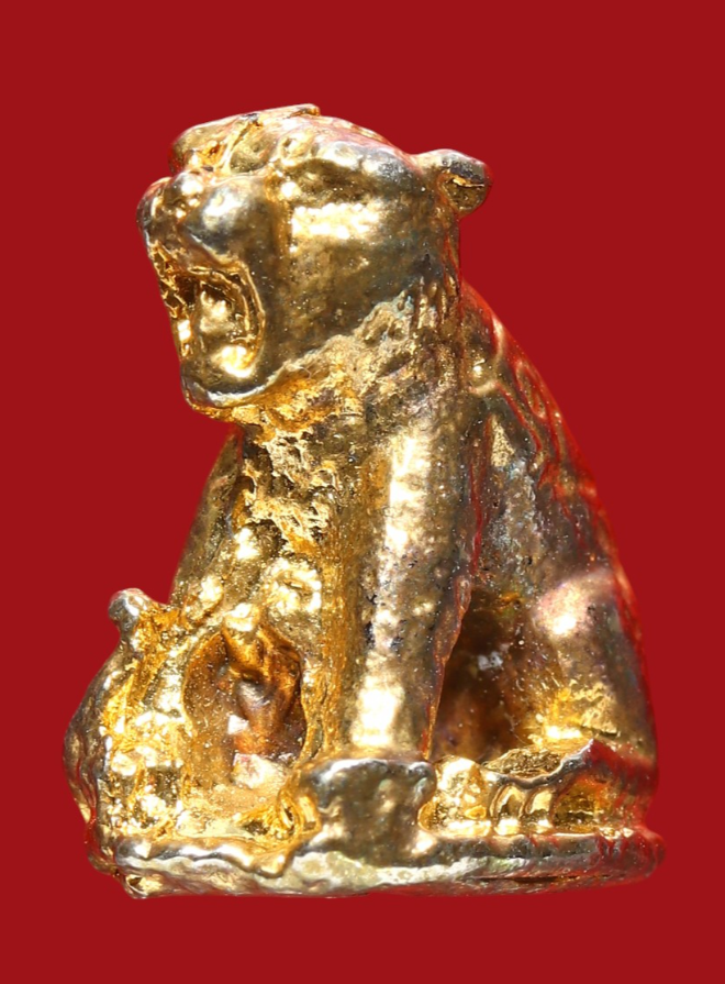 รูปที่อัปโหลด