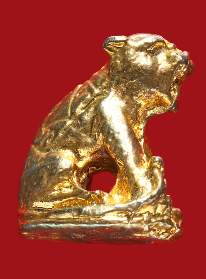 รูปที่อัปโหลด