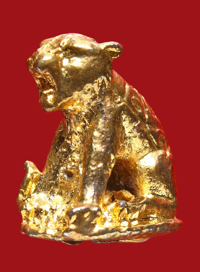 รูปที่อัปโหลด