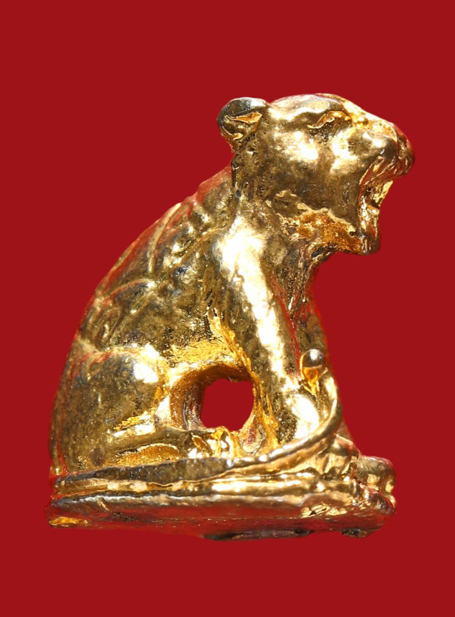 รูปที่อัปโหลด