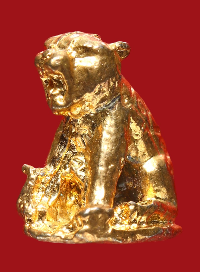 รูปที่อัปโหลด