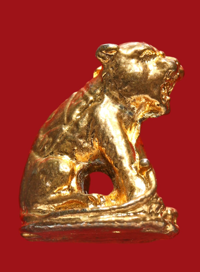 รูปที่อัปโหลด