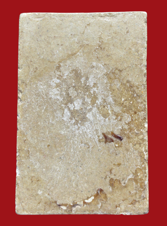 รูปที่อัปโหลด