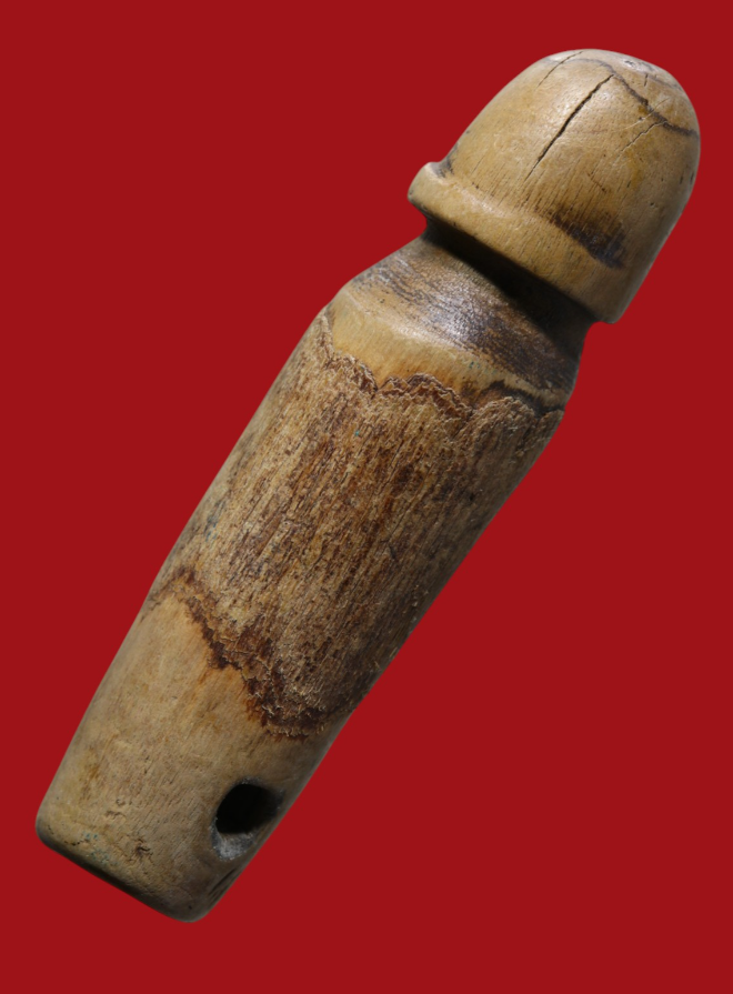 รูปที่อัปโหลด