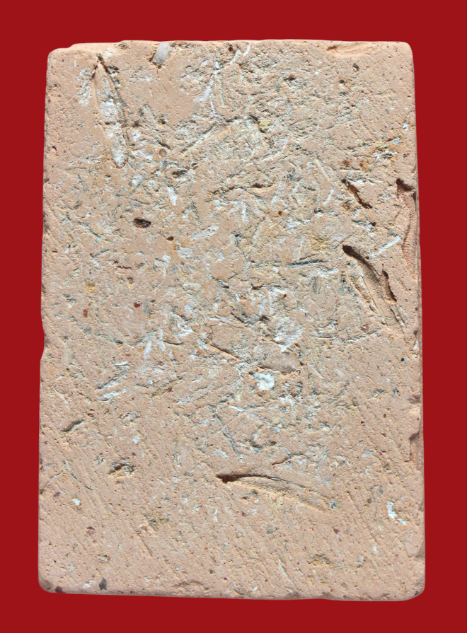 รูปที่อัปโหลด