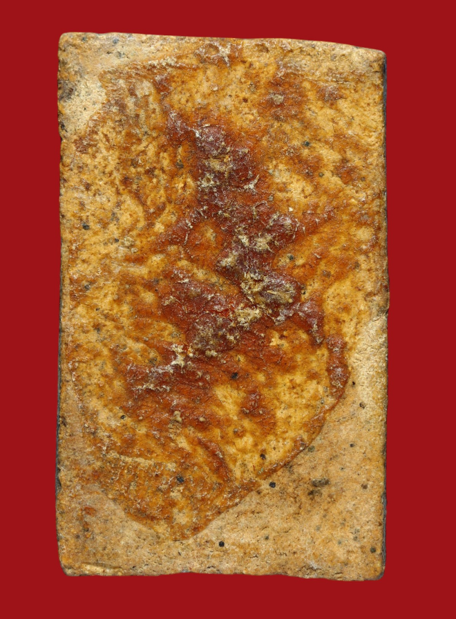 รูปที่อัปโหลด