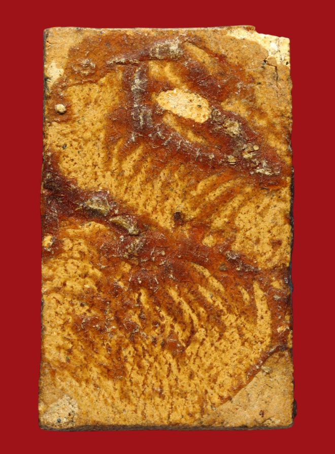 รูปที่อัปโหลด