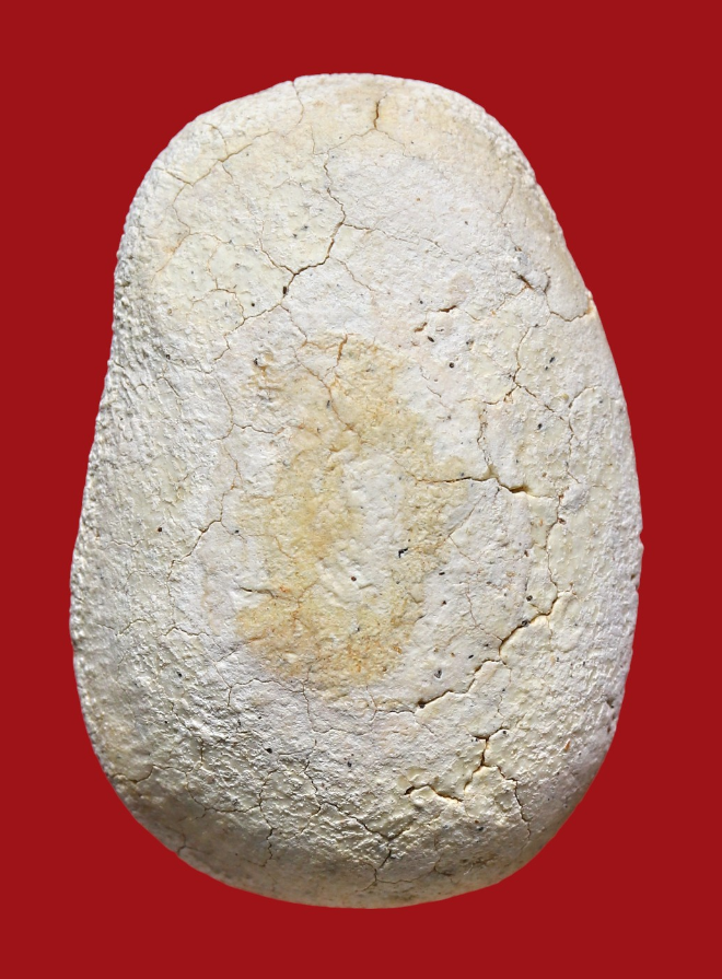 รูปที่อัปโหลด