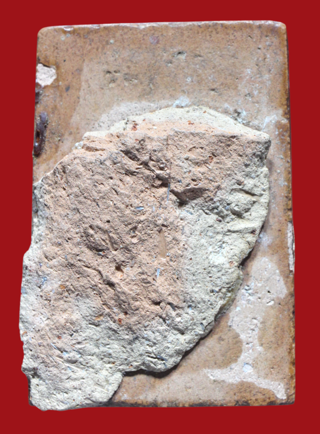 รูปที่อัปโหลด