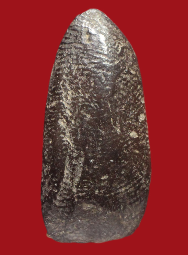 รูปที่อัปโหลด