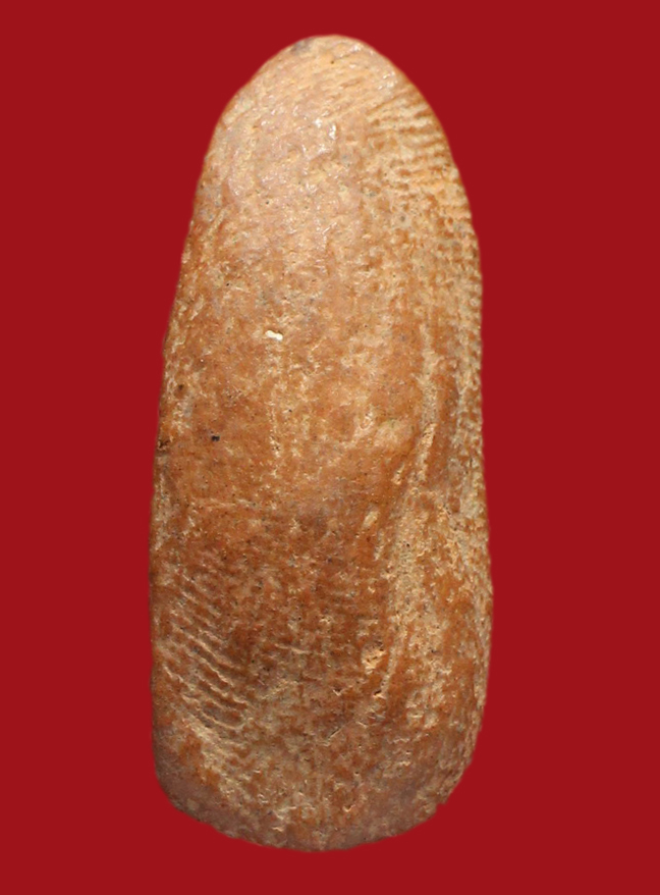 รูปที่อัปโหลด