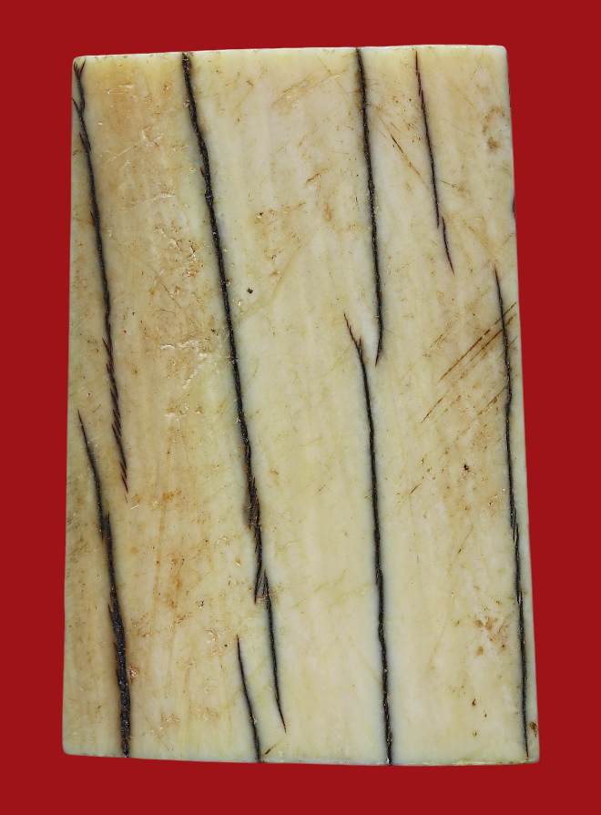 รูปที่อัปโหลด