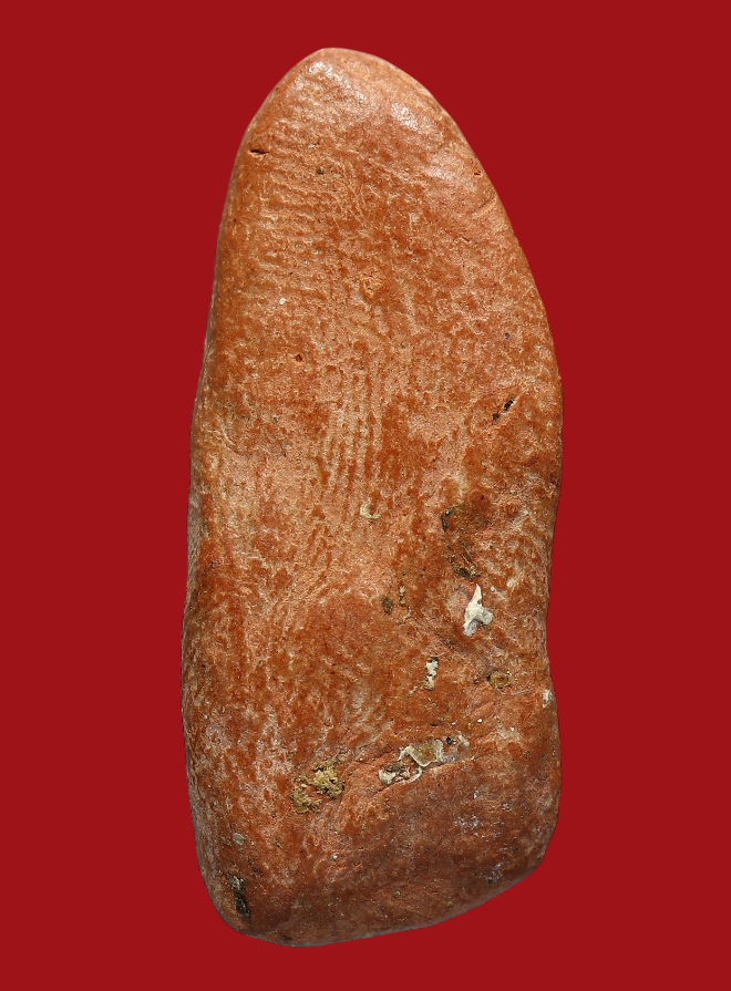 รูปที่อัปโหลด