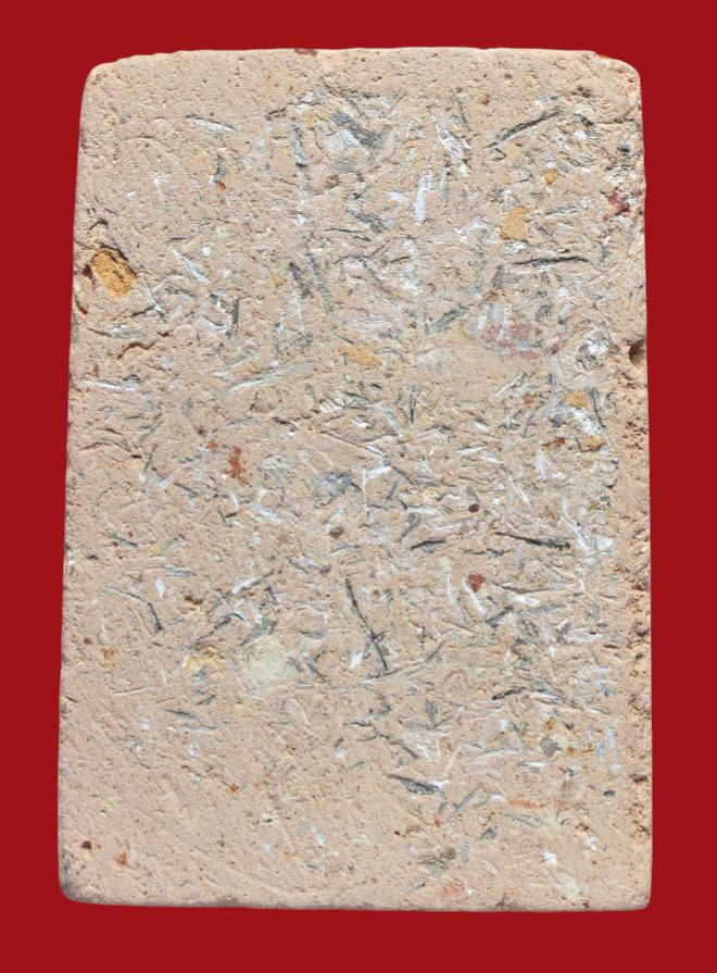 รูปที่อัปโหลด