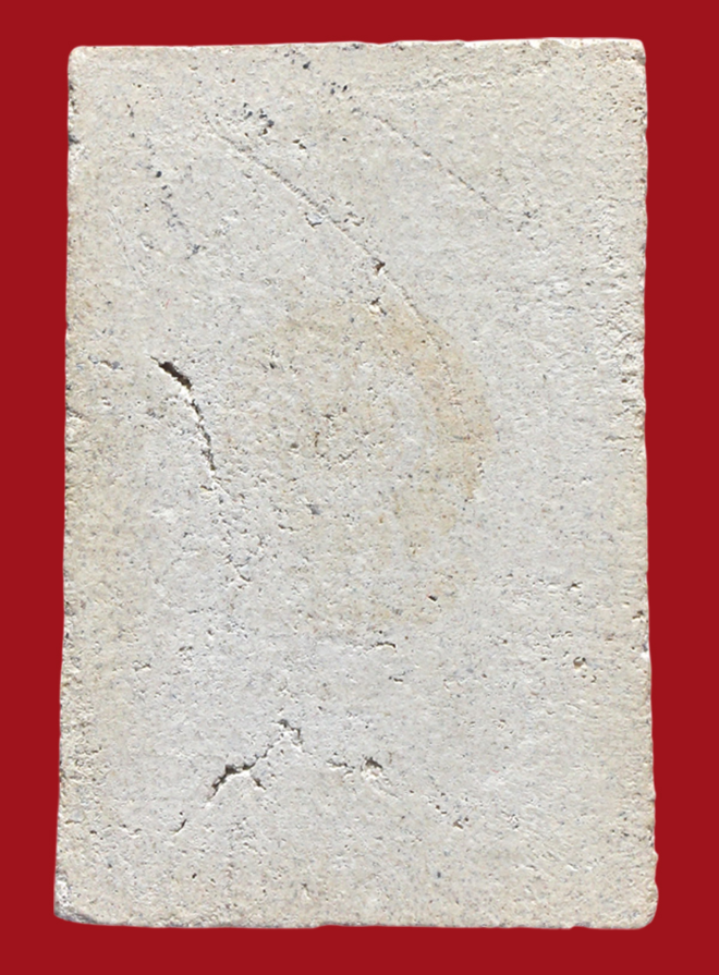 รูปที่อัปโหลด