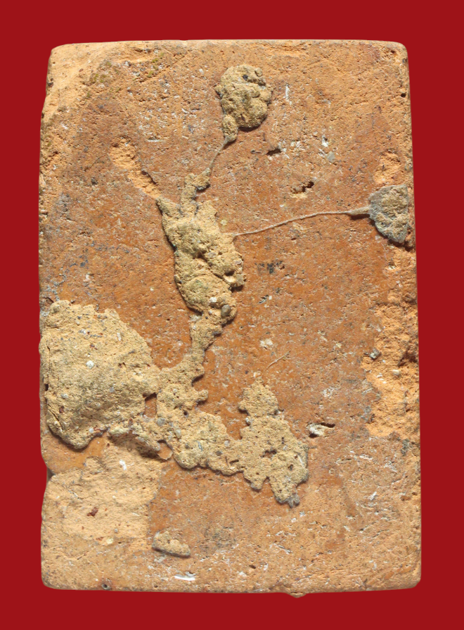 รูปที่อัปโหลด