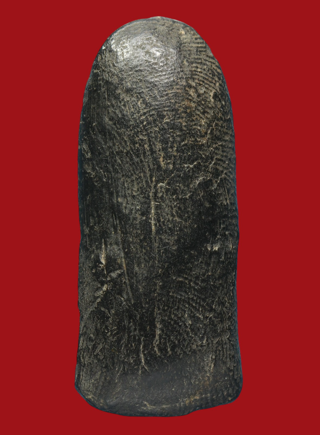 รูปที่อัปโหลด