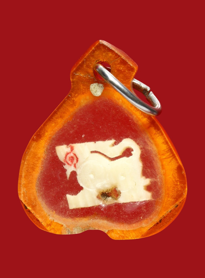 รูปที่อัปโหลด