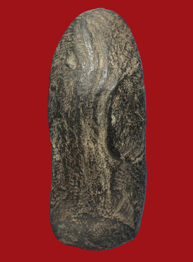 รูปที่อัปโหลด