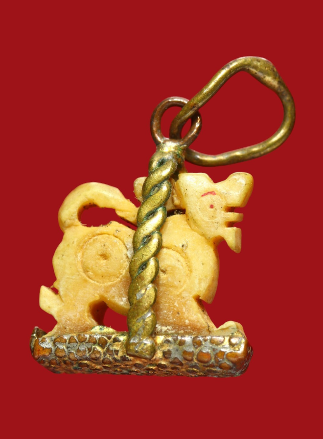 รูปที่อัปโหลด