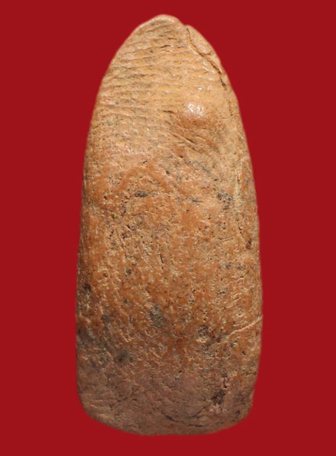 รูปที่อัปโหลด