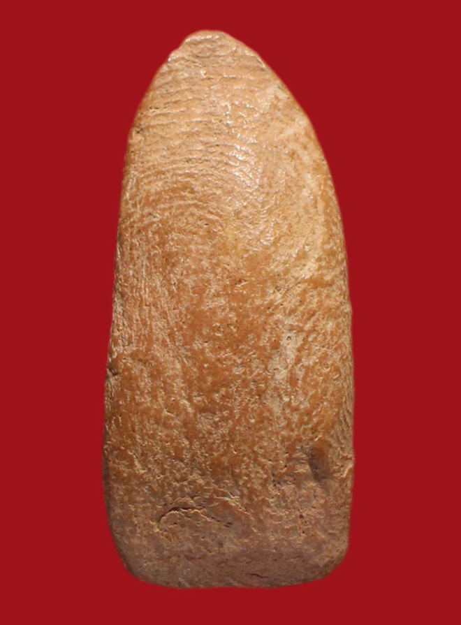 รูปที่อัปโหลด