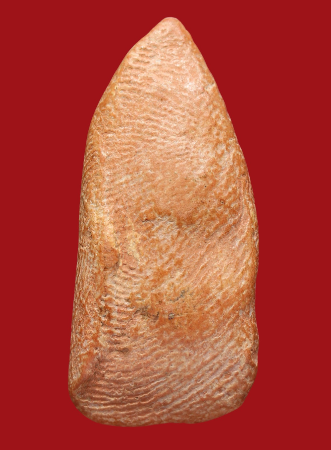 รูปที่อัปโหลด