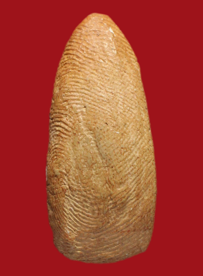 รูปที่อัปโหลด