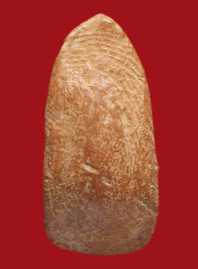 รูปที่อัปโหลด