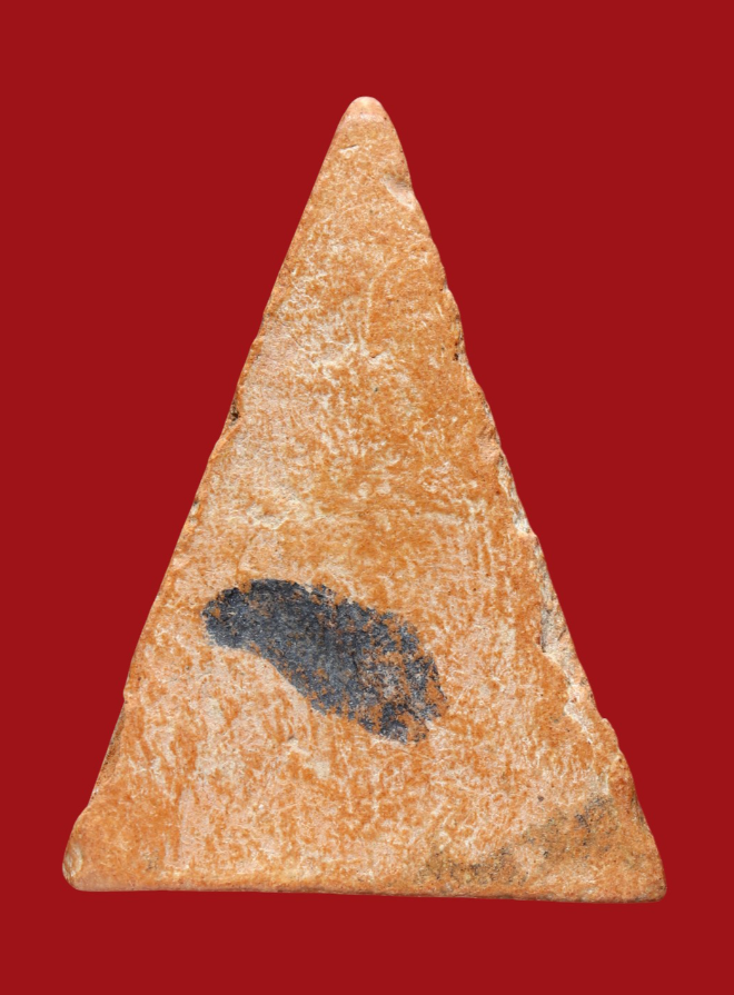 รูปที่อัปโหลด